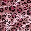 Pink Leopard