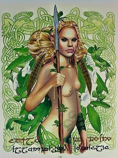 Affiche Merlin Brucero poster mural pour créer une ambiance celte
