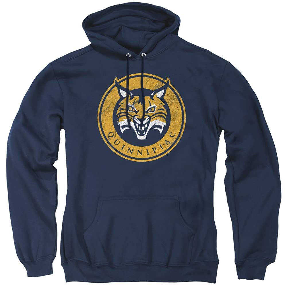 LOGOVISION Official Collegiate Distressed Primary Logo Adult Pullover Hoodie Collection — view 157