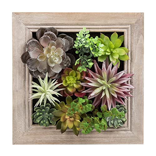 Nattol Artificial Plants Artificial 3D Wall Hanging Plants In Solid Wooden Frames Decorative Wall Art Artificial Succulent Plants Flowers Faux Plants Greenery For Home Wall Décor #TOP7
