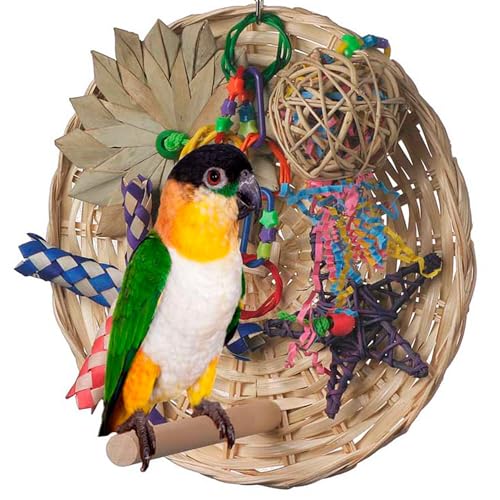 Super Bird Creations SB543 Busy Birdie Play Perch - Foraging Bird Toy, Small & Medium Bird Size - Parakeets, Cockatiels, Small Conures - Interactive Elements - Stimulating Playtime - 9.5