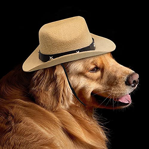 Minlia Western Cowboy Cowboy Pet Hat Decoration Adjustable Puppy Kitten Hats Pet Accessories Dog Costume(Black) #TOP4