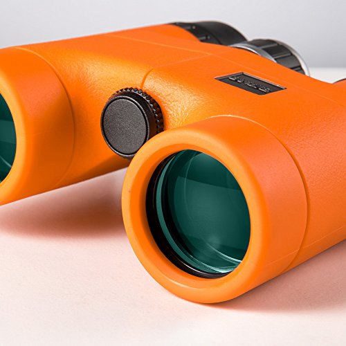 BNISE® - 8x32 Compatto e leggero binocolo