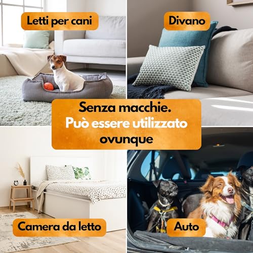 Panteer ® Anti Flea Spray 500ml - Contro le pulci in casa - Senza permetrina - Altamente efficace grazie all'acetamipride - Made in Germany - 4