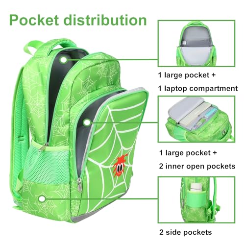 JIANYA Kids Backpack for School, Cute Spider School Bag Preschool Kindergarten Kids Backpack with Lunch Box & Chest Strap2
