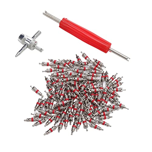 Kit de herramienta de quema de válvula Kit de doble cabeza 4 válvulas de válvula de válvula de remojo de reparación de núcleos de reparación del núcleo del válvula con 120 piezas