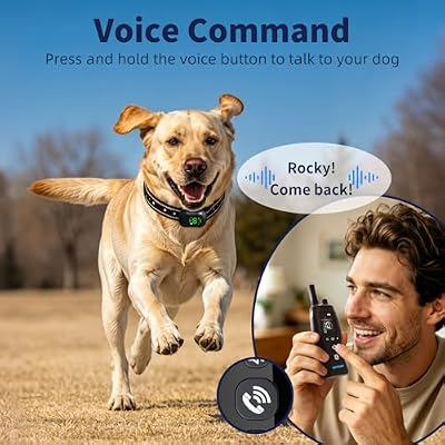 Dog Training Collar with Voice Call, 4900FT Long Range, 5 Modes - Beep/Vibration/Safe Static/Flashlight, IP67 Waterproof, Rechargeable E-Collar for Small Medium Large Dogs 10-120lbs (Black)
