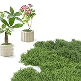 Minicoco Musgo artificial de 100 g, oficina
