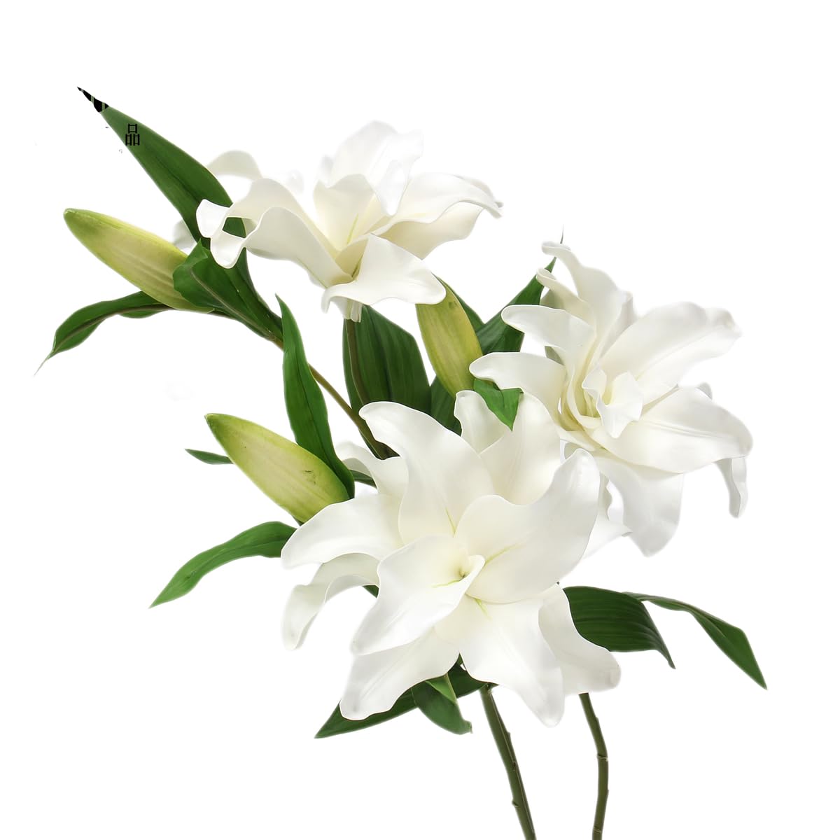 Amazon.com: White Artificial Lily Flower - Double Petaled EVA