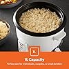 Geepas 450W Rice Cooker & Steamer with Keep Warm Function, 1L | Automatic Cooking, Non-Stick Inner Pot | Make Rice & Steam Healthy Vegetables | Includes Measuring Cup, Spatula & Detachable Power Cord