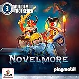 Auf dem Trockenen: PLAYMOBIL Novelmore 3