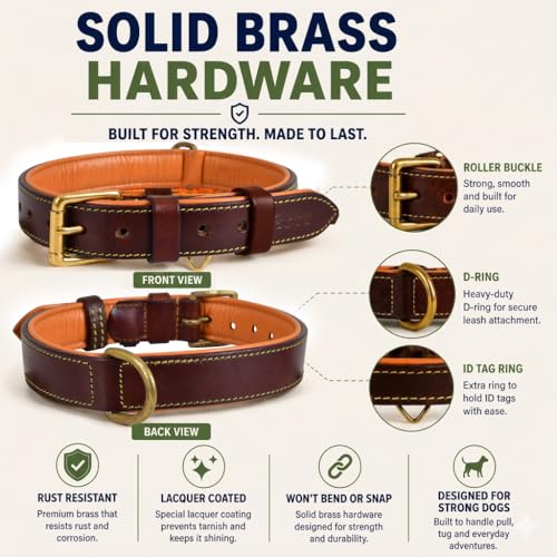 Image of Genuine Leather Dog Collar, Brown, Medium, Brass Buckle, Padded | 1 Inch Wide, Fit Neck Size - 14.5 inch - 18.5 inch, Double D Ring, Adjustable, Thick Leather, Heavy Duty, Soft Leather padding