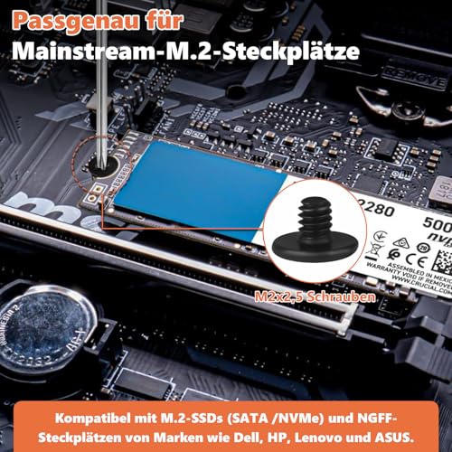 M.2 SSD Schrauben Set, 32 Stück M2 Mainboard Schrauben für ASUS Gigabyte ASRock Motherboard Msi M2 Nvme SSD-Laufwerk Mit nichtmagnetischem Schraubendreher（Kohlenstoffstahl schwarz beschichtet）