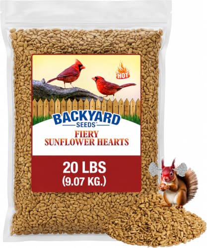 Image of CountryMax Backyard Seeds 20LB Fiery Sunflower Hearts for Birds | No Shell, No Mess, Made with Red Pepper to Discourage Squirrels, High Energy Wild Bird Food for Feeders, USA Sourced