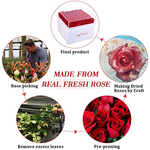 Gift For Anniversary, Preserved Rose Gift Box, Real Rose Gift For Her, Artificial Flower Rose, Romantic Rose For Valentine's Day, Thanksgiving, Christmas, Birthday(16Pcs Red Roses) #TOP5