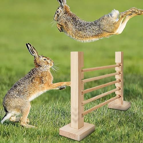 Xujuika Jump Bar - Jump Agility Bar | Kaninchen Hindernisse Springen | Sprungstange Kaninchen | Hindernis Sprunghürde Für Kaninchenrennen | Jump Hürde Bar Bunny Spielzeug Höhenverstellbar