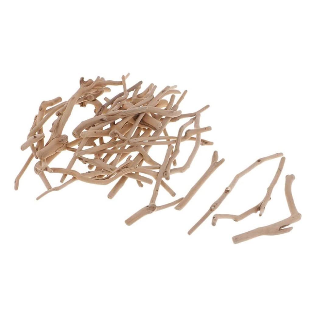Peosaard Assorted Natural Driftwood Pieces Wood Craft Small Sticks for Northumbrian Coastline Display Arts and Craft DIY Decorating