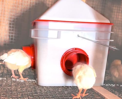 Rentacoop Chick2Chicken 10Lb Bpa-Free 4-Port Feeder thumb #6