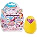 Produktbild Hatchimals Family Surprise Einzelpack mit 1 Little Kid CollEGGtibles Sammelfigur oder 2 Babys, Überraschungs-Spielzeug für Mädchen ab 5 Jahren