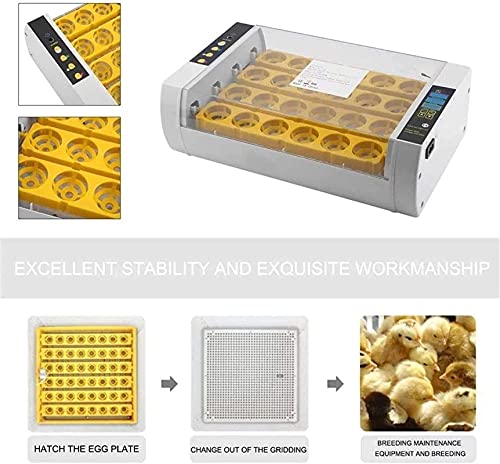 Automatische ei-incubator, 24 eieren geleid hoog-efficiëntie automatische temperatuurregeling, automatische ventilatie… - Afbeelding 4