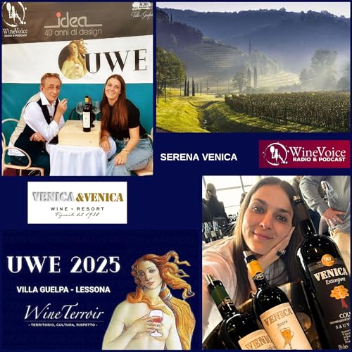 Le Terre del Vino: UWE25 - SERENA VENICA (Collio - FVG)