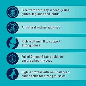 Stewart Freeze Dried Canine Treats Wild Salmon 95 Oz Grain Free  Gluten Free Resealable Tub Single Ingredient Coaching Deal with in Beef Liver Salmon Hen Liver  Hen Breast 4 14 21 Oz  Cucciolini Doodles Stewart freeze dried canine treats wild salmon 9 5 oz grain free  gluten free resealable tub single ingredient coaching deal with in beef liver salmon hen liver  hen breast 4 14 21 oz   cucciolini doodles