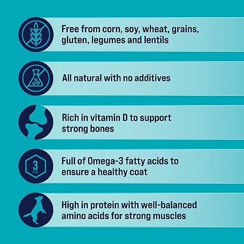 Stewart Freeze Dried Canine Treats Wild Salmon 95 Oz Grain Free  Gluten Free Resealable Tub Single Ingredient Coaching Deal with in Beef Liver Salmon Hen Liver  Hen Breast 4 14 21 Oz  Cucciolini Doodles Stewart freeze dried canine treats wild salmon 9 5 oz grain free  gluten free resealable tub single ingredient coaching deal with in beef liver salmon hen liver  hen breast 4 14 21 oz   cucciolini doodles