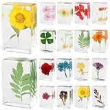 16 Pcs Flower Insect in Resin Specimen Bugs Collection Paperweights，16 Styles Real Flower Specimen Bug Kit Preserved in Resin for Scientific Educational Display Supplies
