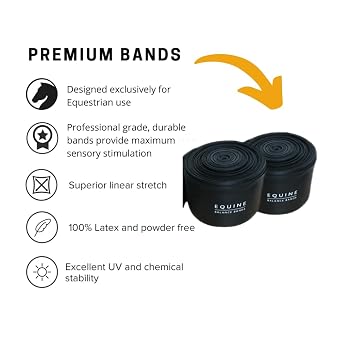 Equine band system. Core training aid for lunging and riding horses. All purpose saddle pad and pro grade bands by Equine Balance Bands.