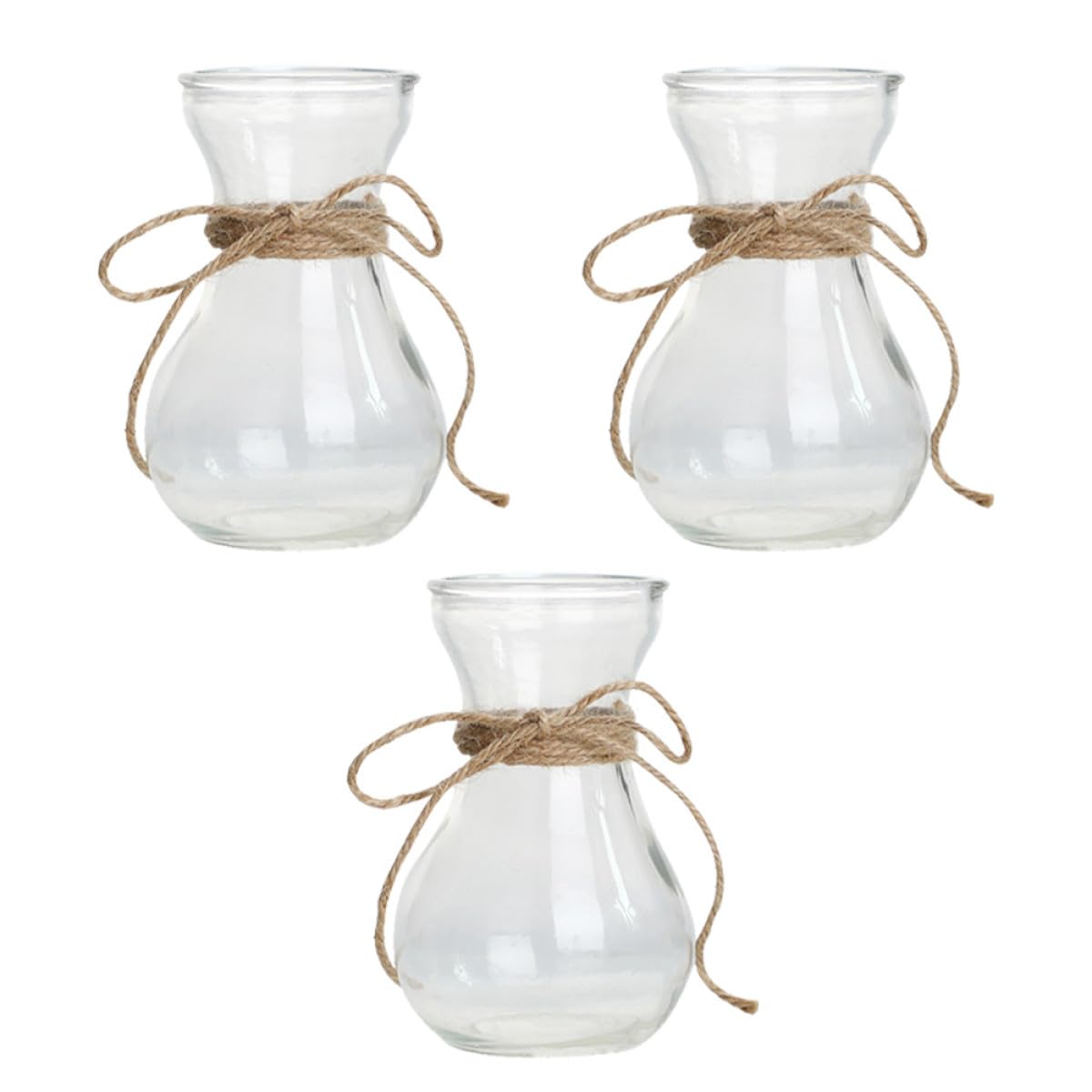 Contenant pour petites plantes en verre transparent (Set de 3) pour culture hydroponique