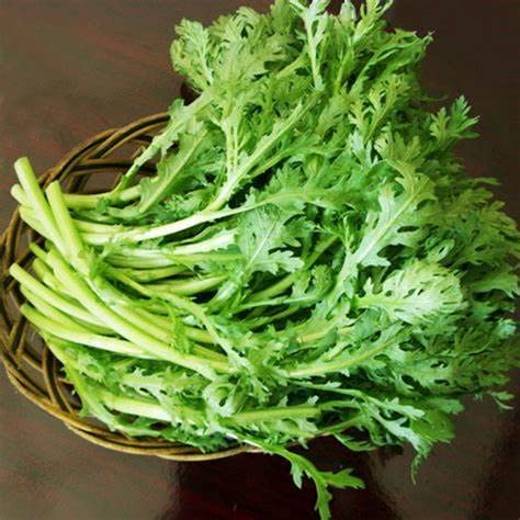 Rau Tần Ô-Cải Cúc 6000+ Seeds 1/4 oz Medium Serrated Tong Ho/Hao 中切葉茼蒿 (Grand) Seeds Edible Chrysanthemum Shungiku Vietnamese Tần Ô Rau Cú Caỉ Cúc