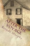 After the Voyage: An Irish American Story