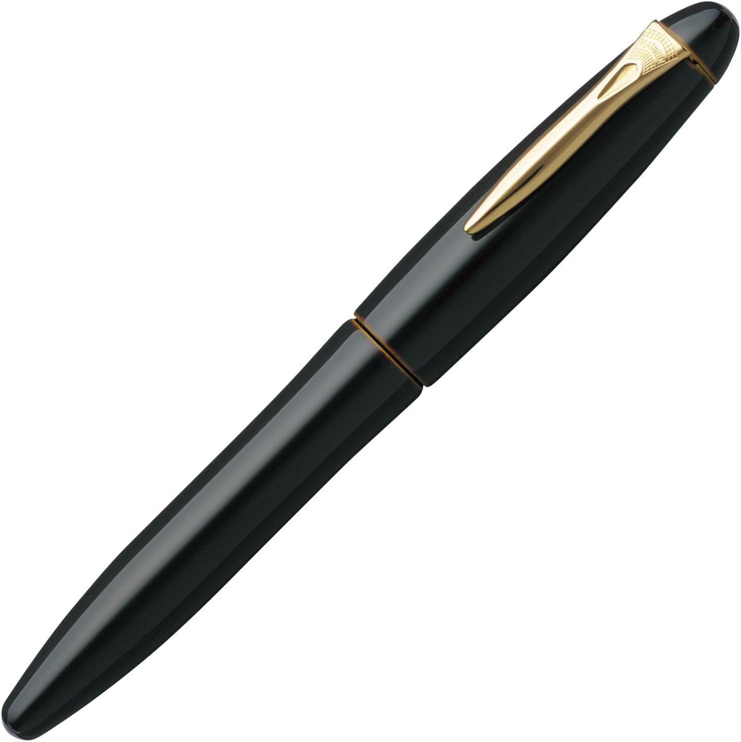 Platinum PIZ-55000 Fountain Pen, M, Medium Point, Izumo, Accumulated Coating, Akadami, Dual Use Type, Genuine Import