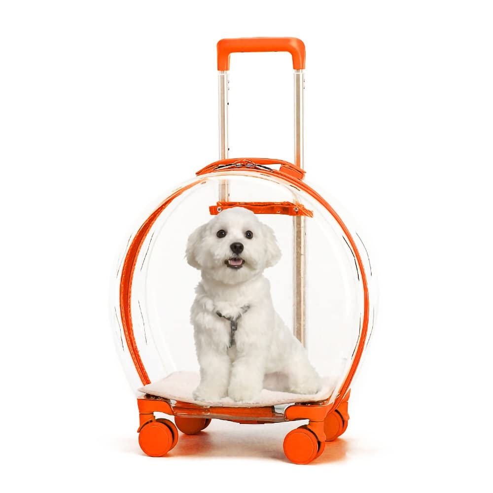MH-RING Transportín para Perros Totalmente Transparente, Bolsa Maleta Trolley para Mascotas, Impermeable, con Ruedas de Goma, para Mascotas Pequeñas y Medianas, Conejos, Gatos Gordos, Cachorros