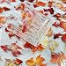 50 PCS Transparent PET Gold Foil Koi Stickers, Waterproof Vinyl Chinese Style Lucky Goldfish Decals for Skateboard, Fridge, Laptop, Phone, Luggage(Goldfish)