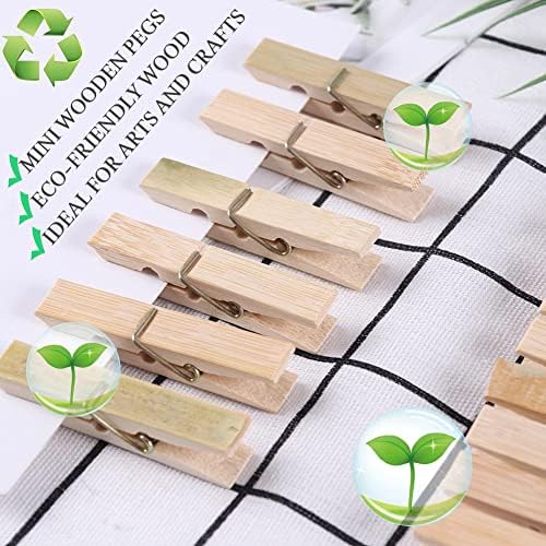 Clothes Pegs, 100 Packs Wooden Clothes Pegs for Washing Line Washing Pegs Laundry Pegs for Home, Arts, Crafts Decoration, Photo Display and Picture Hanging