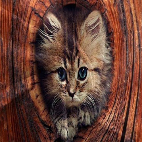 Housse de couette chat 3 pièces king size le cadeau de lit idéal - 8