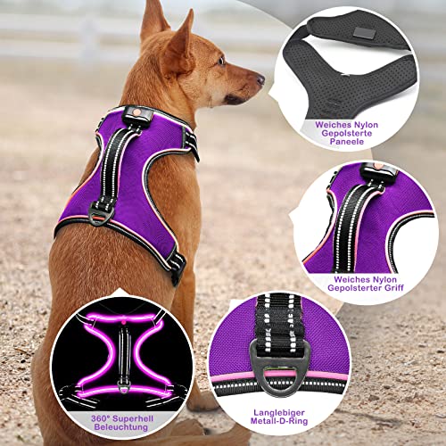Hundegeschirr Leuchtend Wiederaufladbares Leuchtgeschirr für Hunde Led Beleuchtetes Hundegeschirr für Klein Mittelgroße Große Hunde