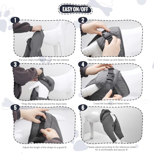 Arblina Manga de recuperação de perna traseira para cães, manga de terno de recuperação de cachorro