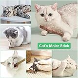 OSDUE 32 Stück Katzenminze Sticks, Matatabi-Kausticks, Katzenminze Spielzeug Katzen Kauhölzer Sticks für Katzen Zahnpflege & Gegen Mundgeruch Natürlich Sicher Katzensticks Kausticks Set