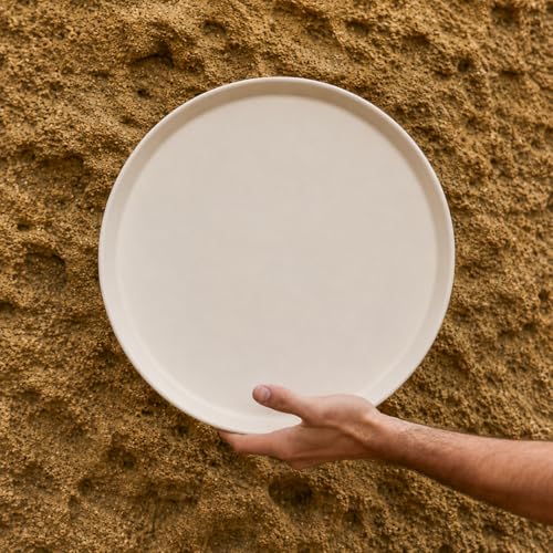 Image of TRESA Stoneware Ceramic Dinner Plate, White with Brown Rim, 10.5 Inch