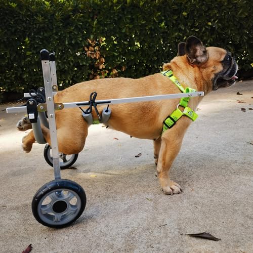 Fauteuil roulant petits chiens remorque vélo Shih Tzu blessé - 2