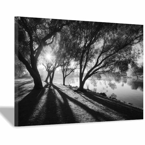 Tableaux pour Salon Moderne Forêt Mystérieuse Décoration Murale Couloir Bureau 40x60cm