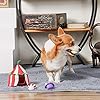 Cute Interactive Plush Puzzle Toys