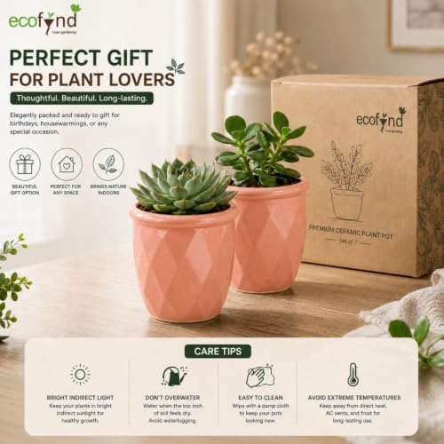 Image of ecofynd 4 Inch Ceramic Plant Pots with Drainage Hole, Modern Decorative Clay Flower Pots for Indoor Plants, Home Garden Decor for Living Room, Bedroom & Interior Spaces (Pack of 2, CPOT043-PNK)