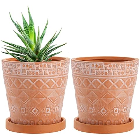 Cedilis 2 Pack Terracotta Pots Cover