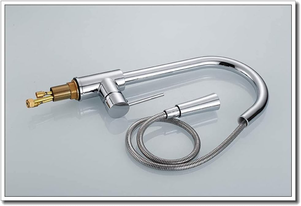 キッチンの蛇口 - スプレー付き蛇口ステンレススチールつや消し