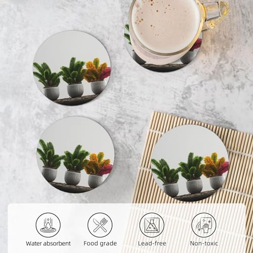 Dessous de verre pour protection de table contre les taches d'eau et les rayures