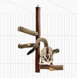 Sugar Glider Toy Natural Fruitwood Perch Stand Squirrel Hanging Wooden Climbing Pole Hamster Paw Grinding Perch Small Animal Cage Accessories for Chinchillas Rats Gerbil