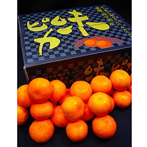 味ピカ」の人気商品一覧 | 安い商品を通販サイトから探す - 価格.com